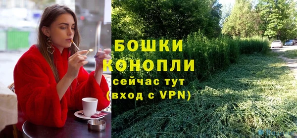ECSTASY Гусев