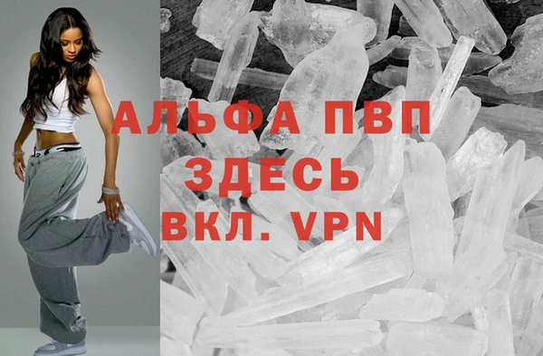 ECSTASY Гусев