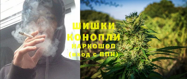 ECSTASY Гусев