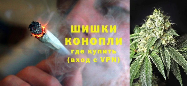 ECSTASY Гусев