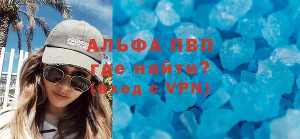 ПСИЛОЦИБИНОВЫЕ ГРИБЫ Горняк
