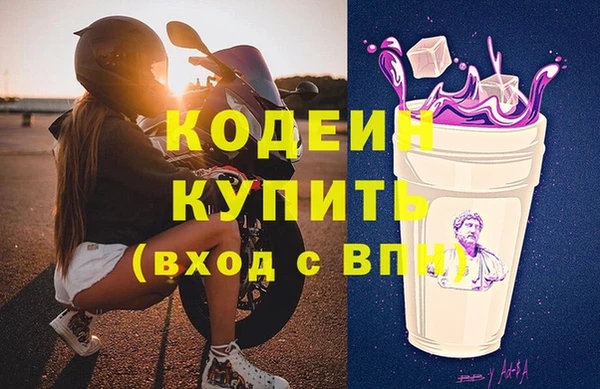 прущие грибы Елабуга