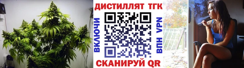 ТГК вейп с тгк Купить закладки Острогожск